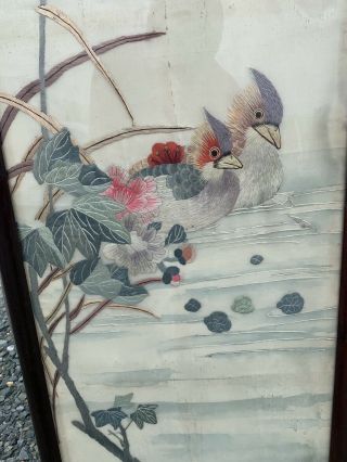 Huge Antique Chinese Silk Panels With Birds And Rosewood Frames 4
