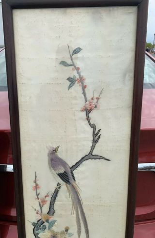 Huge Antique Chinese Silk Panels With Birds And Rosewood Frames 8