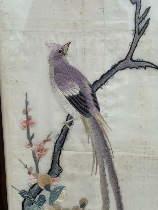 Huge Antique Chinese Silk Panels With Birds And Rosewood Frames 9