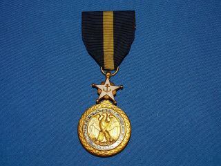 Wwii - Korean - Vietnam War Navy Distinguished Service Medal (a23)
