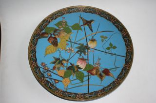 Very Large Antique Chinese Japanese Cloisonne Flower Bird Plate