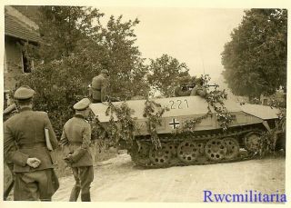 Best German Sdkfz.  251 Schützenpanzerwagen Halftrack " 221 " On French Road