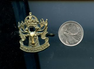 Rare Wwii Newfoundland Regiment Small Collar Badge A144