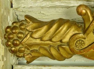 Sublime Antique French Carved Wood Gilded Mount / Pediment / Ciel De Lit,  19th C 2