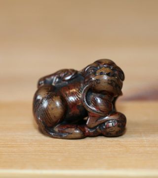 Antique Japanese Carved Boxwood Seal Netsuke Of A Shishi,  18th Century,  Edo.