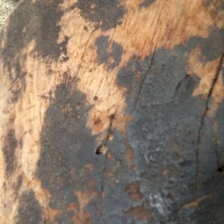 Early Primitive Wooden Treen Mortar Small Noggin Patina Handle 7