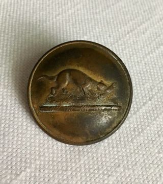 Antique Livery (?) Button Scovill Mfg.  Co.  Bear Catching Fish