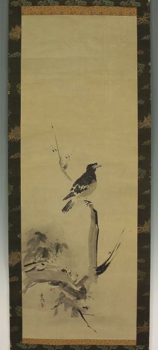 掛軸1967 Hanging Scroll : Kano Tsunenobu " Crested Myna On Bare Tree " @b452