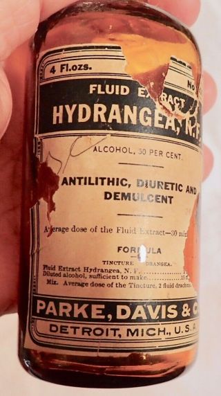 Antique Parke Davis & Co Apothecary Bottle Hydrangea Amber Bottle P0497