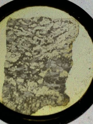 Antique Victorian Microscope Slide Geology Rock Mineral Thin Section Serpentine 2