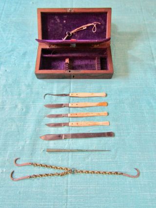 VTG Antique Scalpel Doctor Surgeon Set Bone Handles Wood Box Lock & Key 2