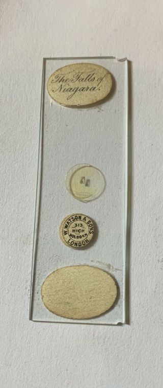 Antique Victorian Microscope Slide Niagara Falls Microphotograph Watson Rare old 3