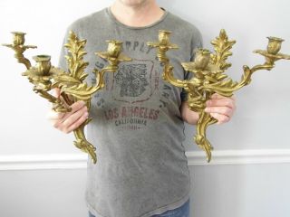 French Style Rococo Brass Candle Wall Sconces 3 Arm Candelabras
