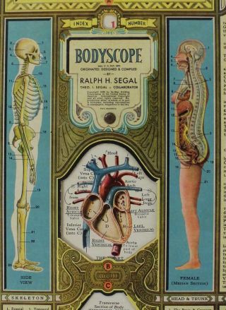Antique Bodyscope Anatomy Display Ralph H.  Segal Illustrated Hardcover Book 12