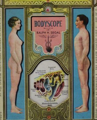 Antique Bodyscope Anatomy Display Ralph H.  Segal Illustrated Hardcover Book