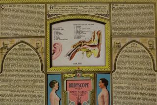 Antique Bodyscope Anatomy Display Ralph H.  Segal Illustrated Hardcover Book 5