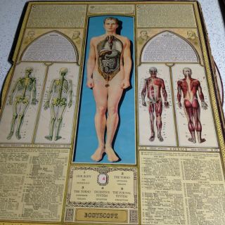 Antique Bodyscope Anatomy Medical Display W Slip Cover Dial Mechanical Segal