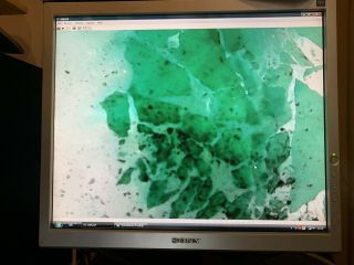 Green Malachite Antique Microscope slide Geology Russian rare old Wheeler rock 11