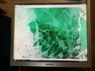 Green Malachite Antique Microscope slide Geology Russian rare old Wheeler rock 3