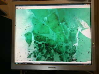Green Malachite Antique Microscope slide Geology Russian rare old Wheeler rock 6