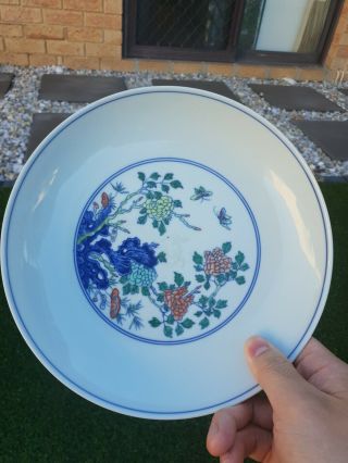 Antique/vintage Chinese Hand Painted Plate