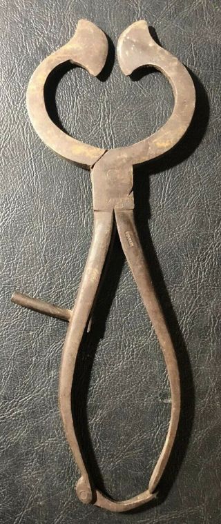 Antique 18th Century Georgian Sugar Nippers Marked T.  Mills & Bro.  Germany