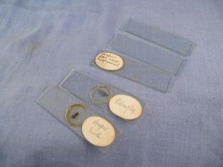 VICTORIAN ANTIQUE POCKET TRAVELLING BUG INSECT VIEWER SPECIMEN MICROSCOPE SLIDES 7