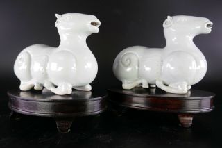 19th/20th Century Chinese Porcelain Blanc De Chine Dehua Pair Animal Figurines