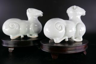 19th/20th Century Chinese Porcelain Blanc de Chine Dehua Pair Animal Figurines 3