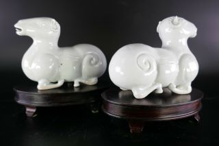 19th/20th Century Chinese Porcelain Blanc de Chine Dehua Pair Animal Figurines 5