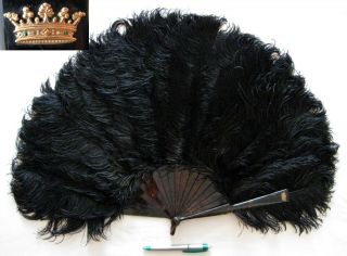 Antique Victorian Faux Tortoiseshell Schildpatt Feather Fan Of A Marquise 1890