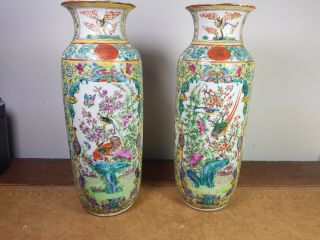 A Pair Chinese Cantonese Yellow Ground Famille Rose Type Vases