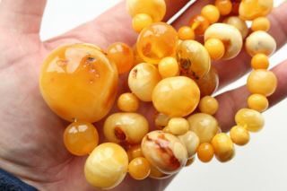 100 Natural Antique Butterscotch Egg Yolk Baltic Amber Bead Necklace 133g 10