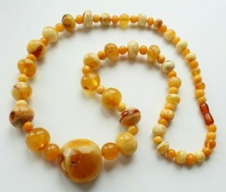 100 Natural Antique Butterscotch Egg Yolk Baltic Amber Bead Necklace 133g 2