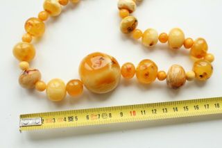 100 Natural Antique Butterscotch Egg Yolk Baltic Amber Bead Necklace 133g 3
