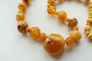 100 Natural Antique Butterscotch Egg Yolk Baltic Amber Bead Necklace 133g 4