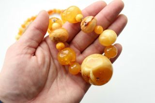 100 Natural Antique Butterscotch Egg Yolk Baltic Amber Bead Necklace 133g 7