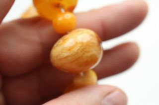 100 Natural Antique Butterscotch Egg Yolk Baltic Amber Bead Necklace 133g 9