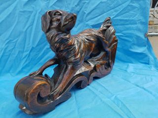 Antique French: Black Forest Corbels/Statues solid oak,  19th,  Carved Hunting Dog 12