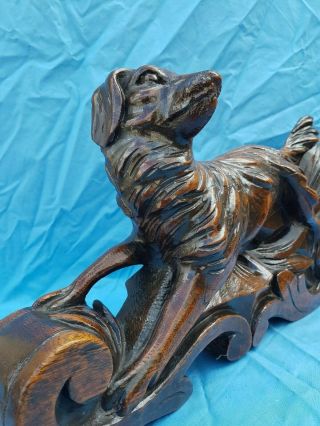 Antique French: Black Forest Corbels/statues Solid Oak,  19th,  Carved Hunting Dog