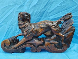 Antique French: Black Forest Corbels/Statues solid oak,  19th,  Carved Hunting Dog 2