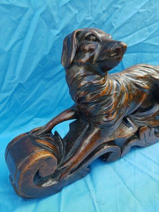 Antique French: Black Forest Corbels/Statues solid oak,  19th,  Carved Hunting Dog 3