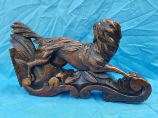 Antique French: Black Forest Corbels/Statues solid oak,  19th,  Carved Hunting Dog 9