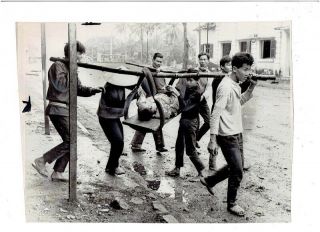 Vietnam War Press Photo - Wounded Man In Makeshift Litter - Hue
