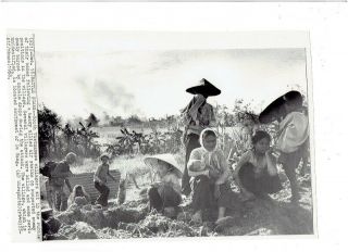 Vietnam War Press Photo - Villagers Sit In Rubble Of Their Homes - Sw Of Da Nang