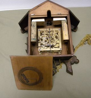 Antique c.  1905 American Cuckoo Co.  Philadelphia Clock Eagle Crest RESTORED 7