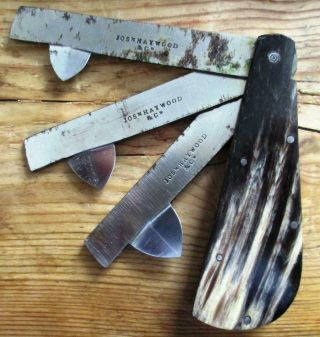 Antique Three Blade Fleam By Joseph Haywood,  Sheffield,  Blood Letting Phlebotomy