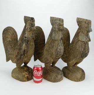 3 Antique Folk Art Primitive Hand Carved Wood Rooster Chicken 19 " T Sculptures