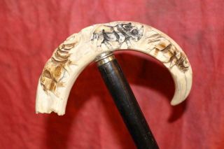 Antique Carved African Warthog Tusk Teak Wood Cane " African Big 5 "