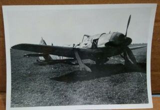 Wwii Downed Crashed Airplane.  German? 5 " X 7 ".  Photo